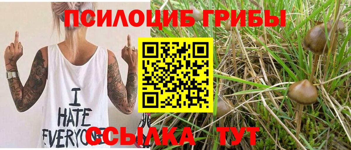 Псилоцибиновые грибы MAGIC MUSHROOMS Черемхово