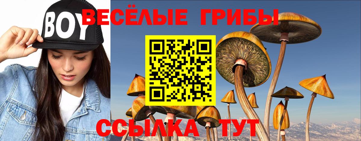 Псилоцибиновые грибы ЛСД  Псилоцибиновые грибы Magic Shrooms  Вход с VPN  Черемхово 